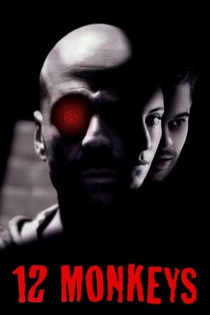 12 Monkeys (1995) Dual Audio | Dubbed Hindi Movie BluRay [1GB]