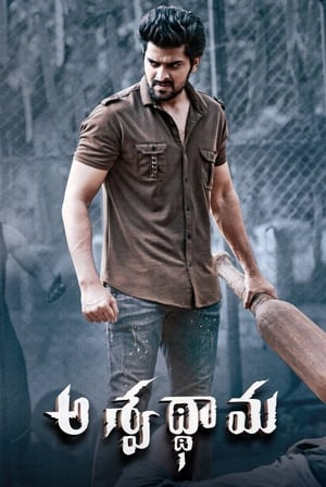 Aswathama 2020 ( – Telugu) Dual Audio | Dubbed Hindi Movie UnCut HDRip 340MB