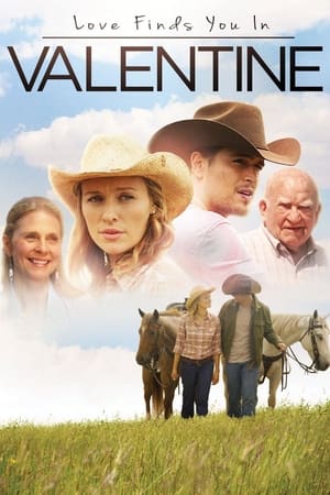 Love Finds You in Valentine (2016) Dual Audio | Dubbed Hindi Movie BluRay [800MB]